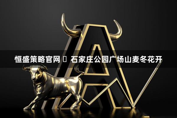 恒盛策略官网 ​石家庄公园广场山麦冬花开