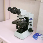 顕微鏡システム